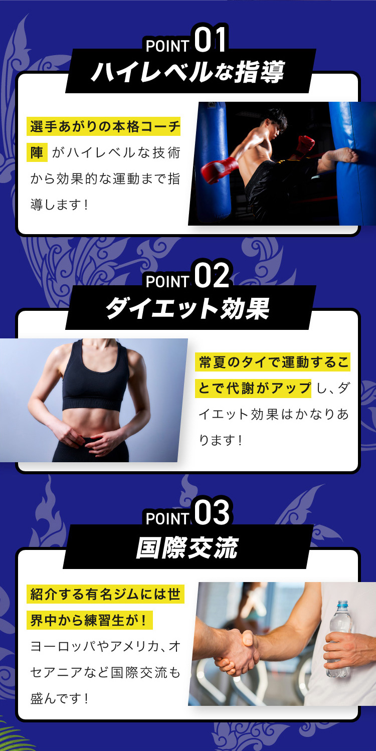 POINT01ハイレベルな指導